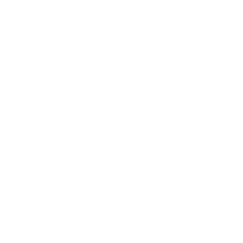Apex Fitness 